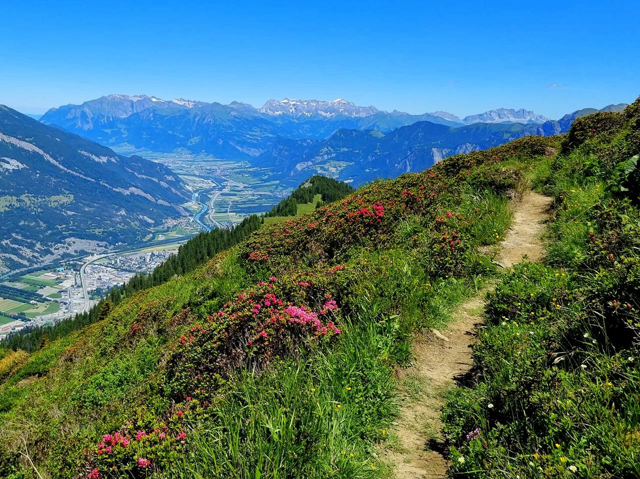 Alpi, concurs de alergare Chur trailrun